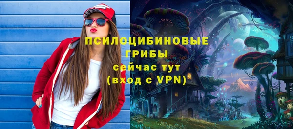 бутират Арсеньев
