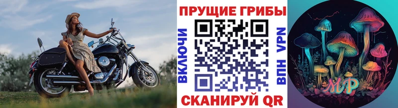 магазин продажи наркотиков  Строитель  blacksprut рабочий сайт  дарк нет телеграм  Галлюциногенные грибы Psilocybine cubensis 