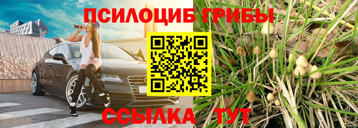 Галлюциногенные грибы Magic Shrooms Строитель