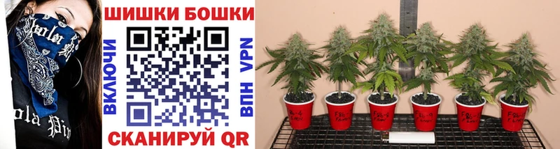 Конопля Ganja  Строитель 